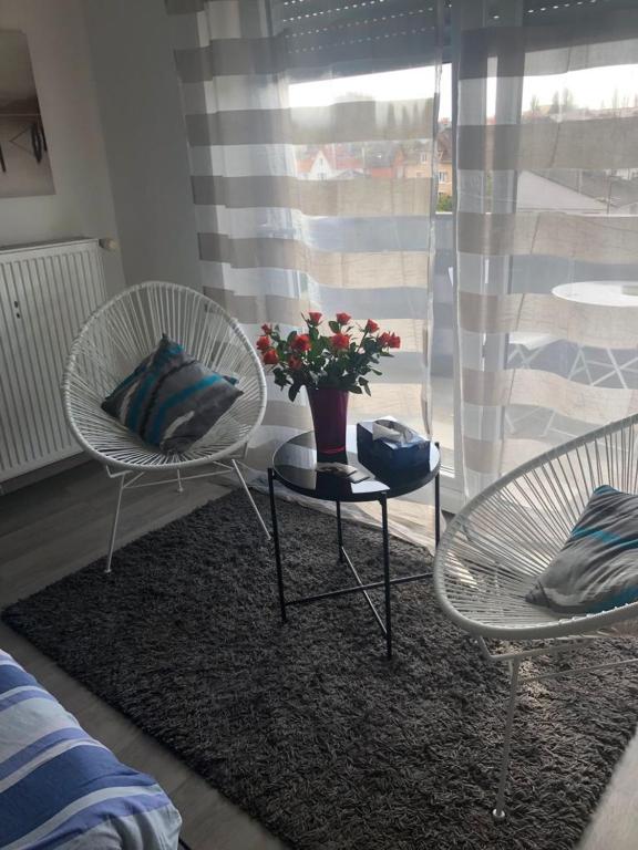 Joli Studio A Euroairport-BASEL-MULHOUSE-FREIBURG – photo 10