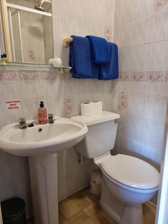 The Regency Hotel - Resim 29