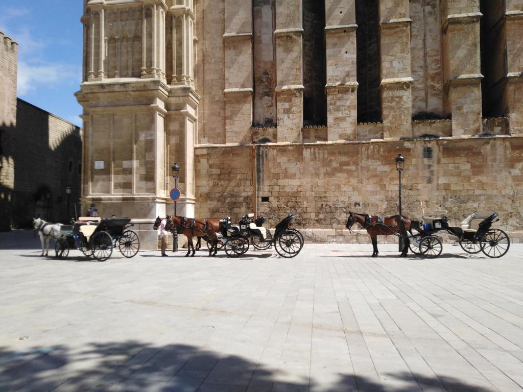 Double Rooms At The Heart Of Palma