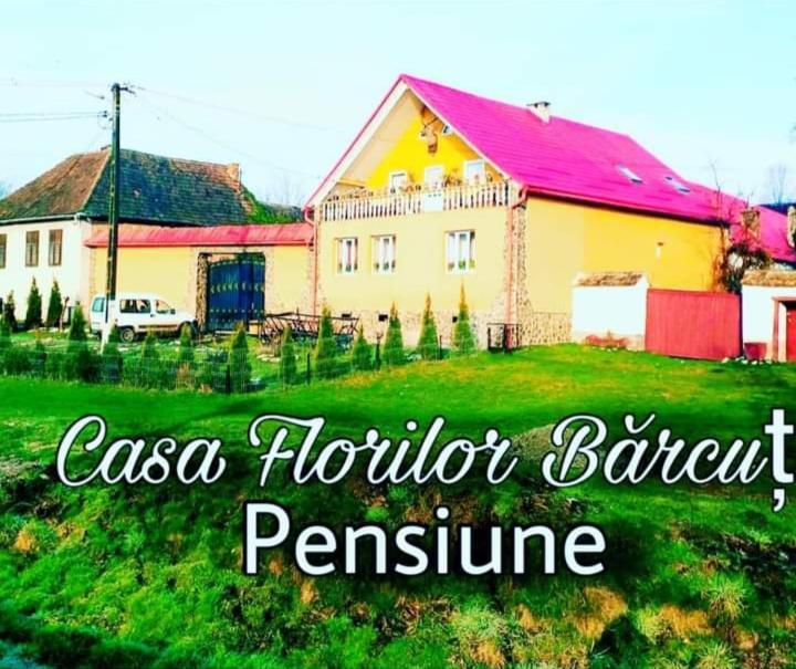una casa amarilla con techo rosa en un campo en Casa Florilor Barcut en Bărcuţ