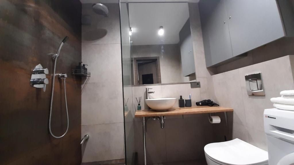 a bathroom with a sink and a shower and a toilet at Style Стильні апартаменти в ЖК "Варшавський" біля парку in Ternopilʼ
