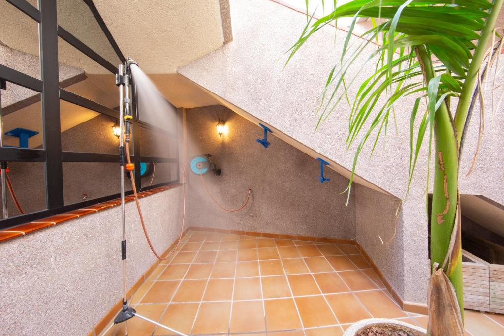 Fotografie z fotogalerie ubytování MEDANO4YOU The Wing Palace Tenerife v destinaci El Médano