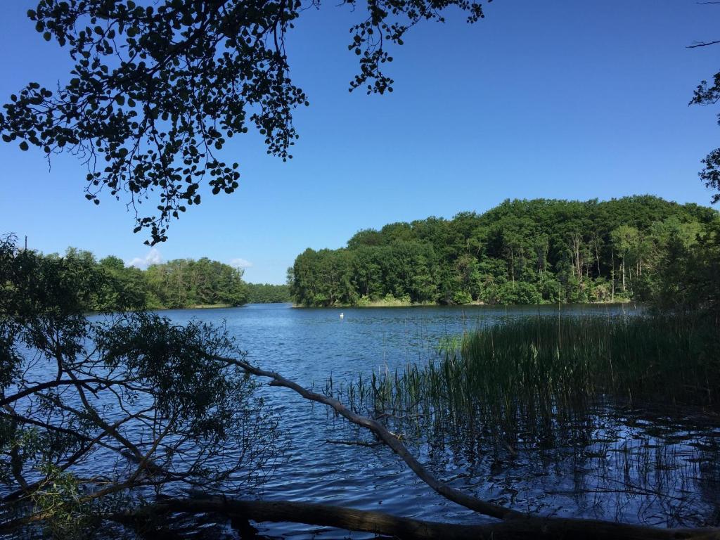 Natur pur