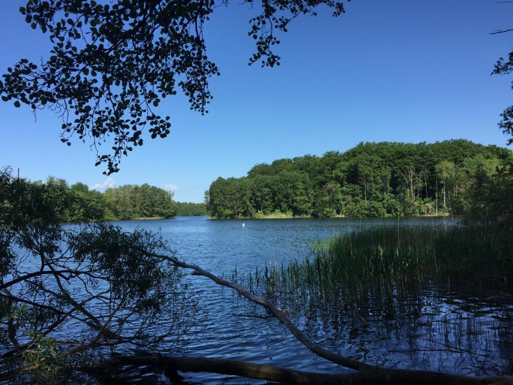 Blick auf einen See mit Bäumen im Hintergrund in der Unterkunft Natur pur, nah am Schaalsee in Kneese Dorf