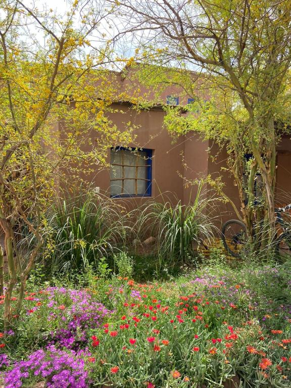 Zahrada ubytování Ckoi Atacama Lodge