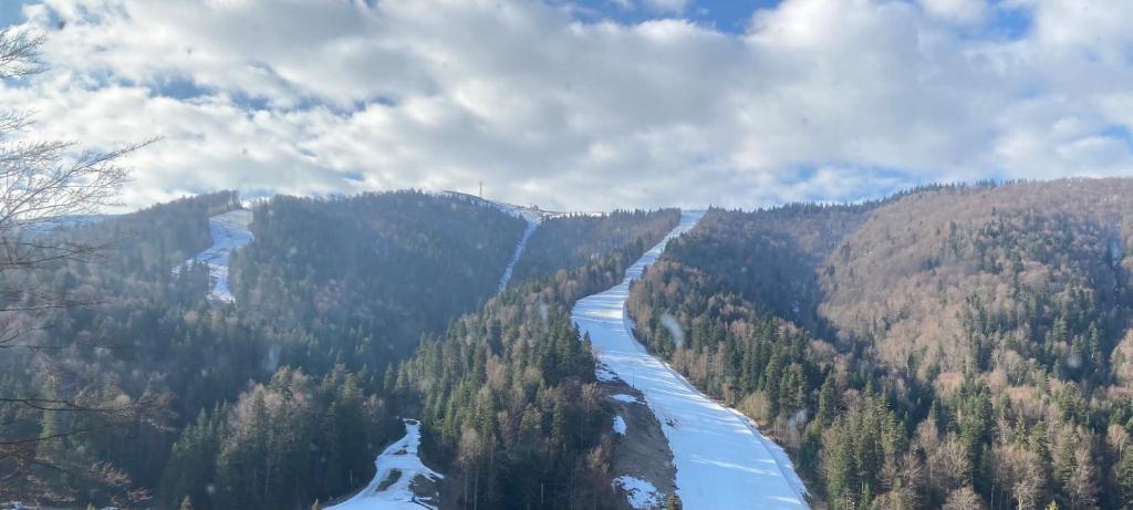 a river in the middle of a forest with snow at Ski View Studio - near the ski slopes in Azuga