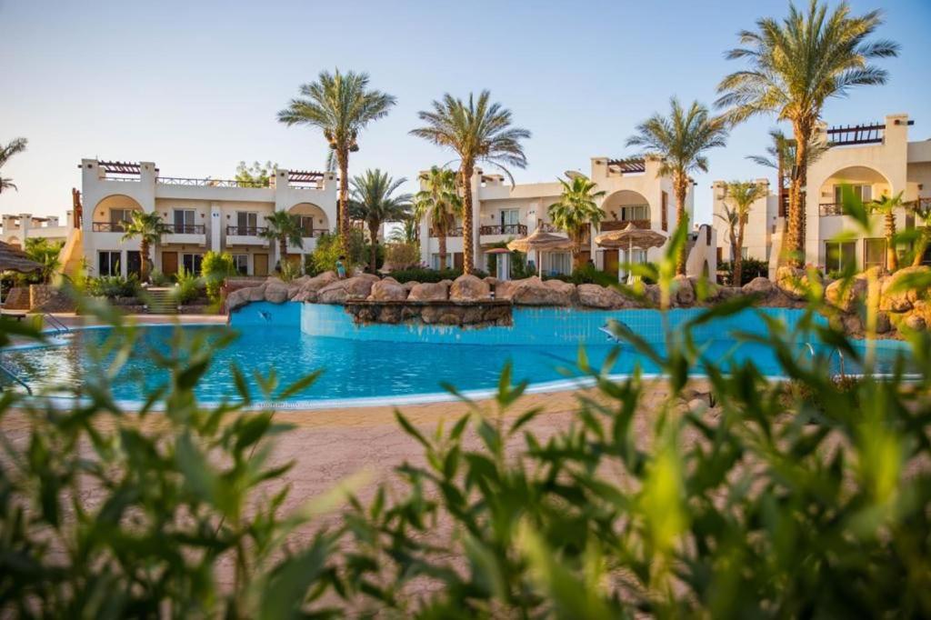 a resort pool with palm trees and houses at Sunny Lakes Resort , Revira Plus Apartment in Sharm El Sheikh