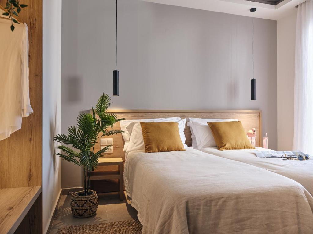 Voodi või voodid majutusasutuse Cactus Hotel toas