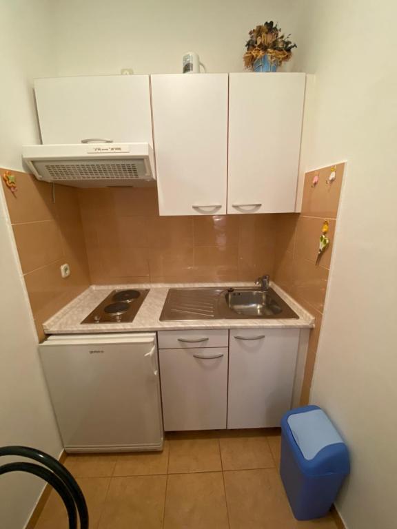 Kuchyň nebo kuchyňský kout v ubytování Apartmani Dragica