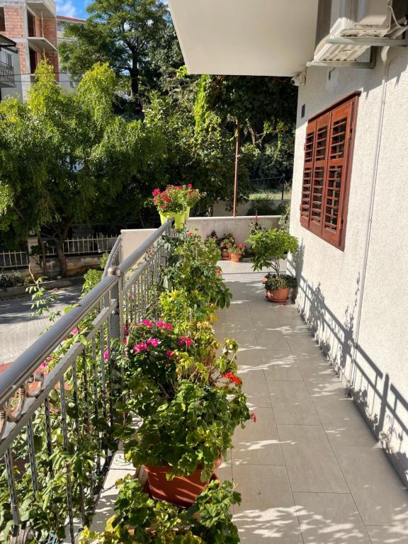 Zahrada ubytování Apartmani Dragica