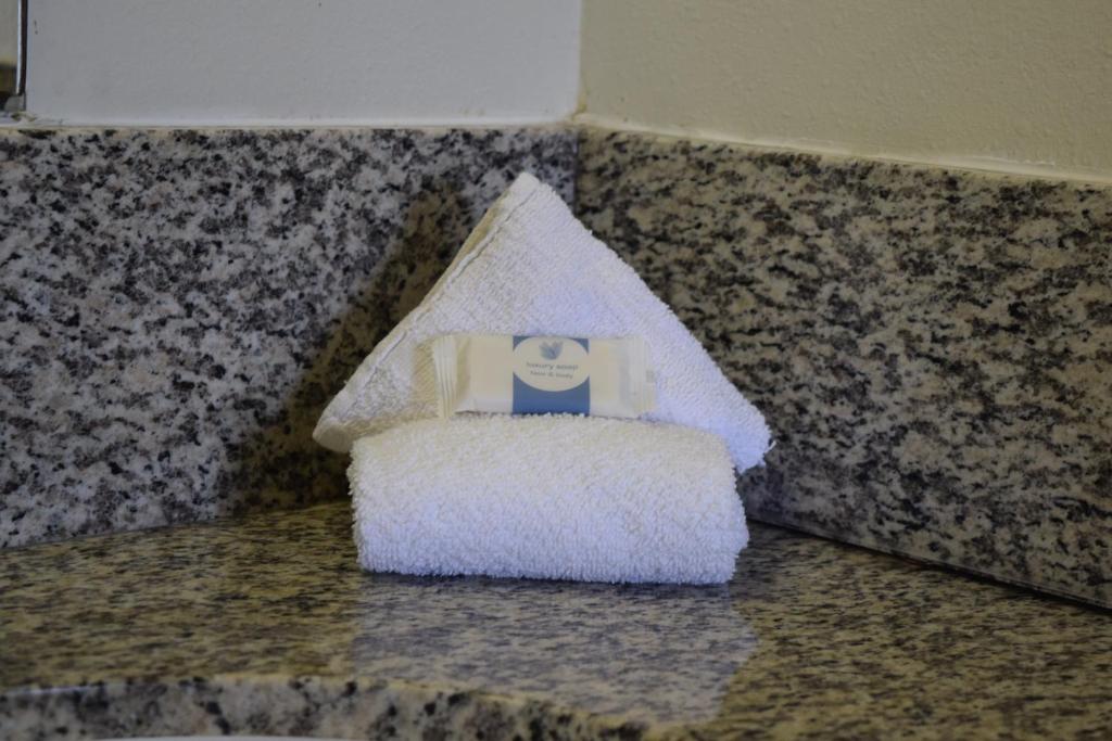 Value Inn - Livonia - Chambre De Luxe