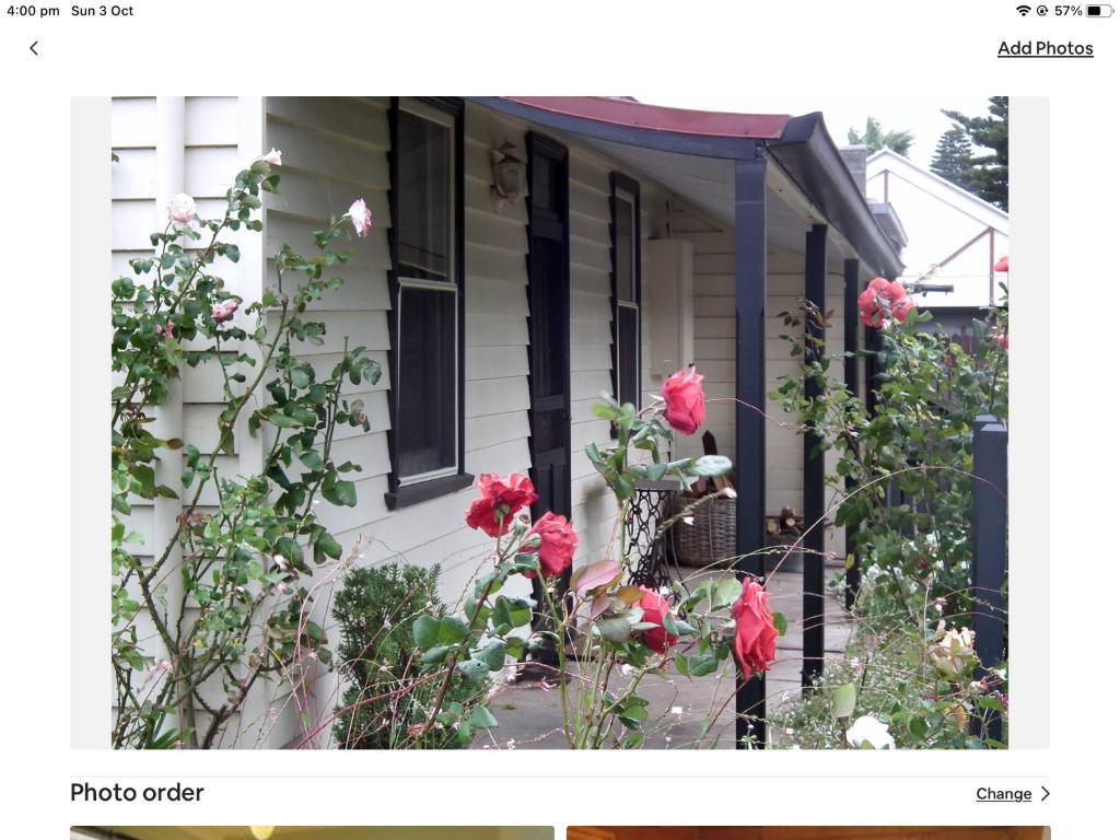 une maison avec des fleurs rouges dans la cour avant dans l'établissement Nivani 1880's cottage, à Port Fairy