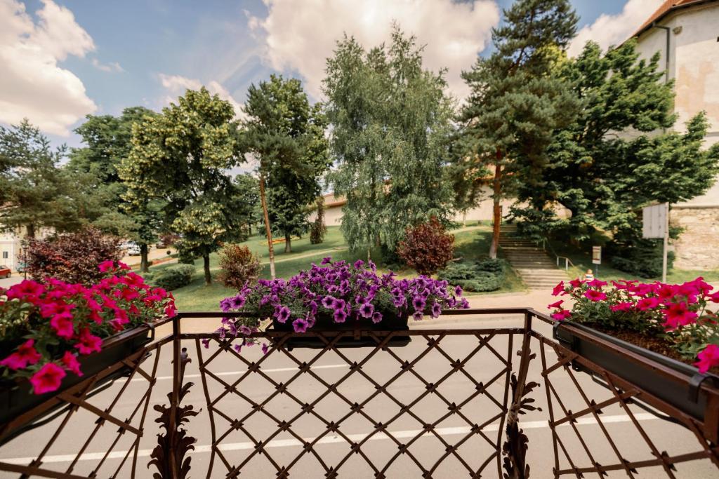 Haller Boutique - Resim 28