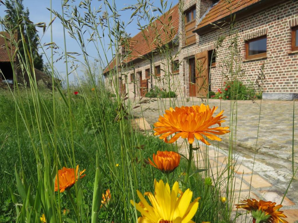 un jardín con flores naranjas y amarillas frente a un edificio en Holiday Home 't Hof der Witte Damen, en Veurne