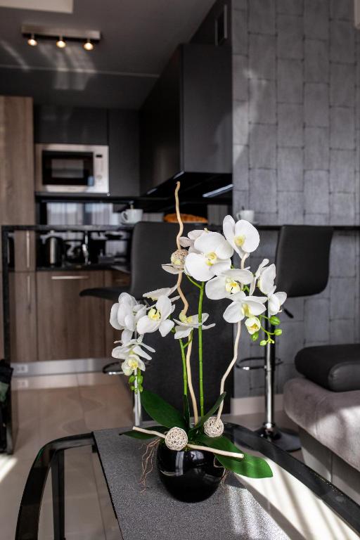 Aparthotel New Lux - 11