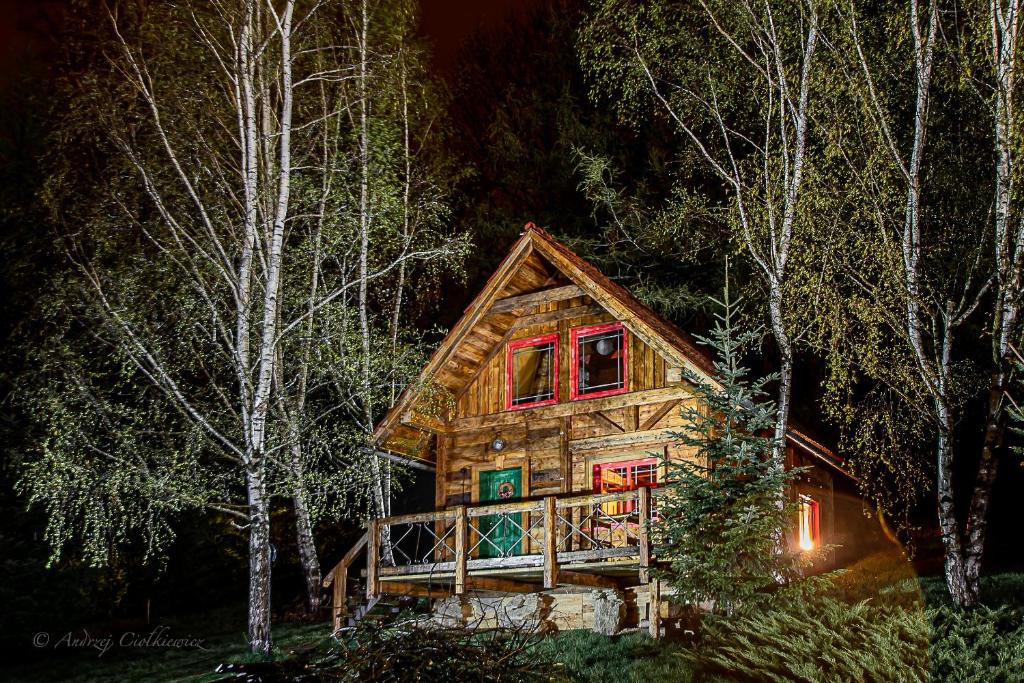 a log cabin in the woods at night at AGROTURYSTYKA TEOSIOWO in Pobiedna