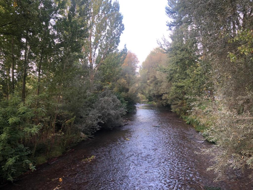 Alojamientos Castellana Jardín 1 y 2 PARKING Y PISCINA GRATIS!! - 12