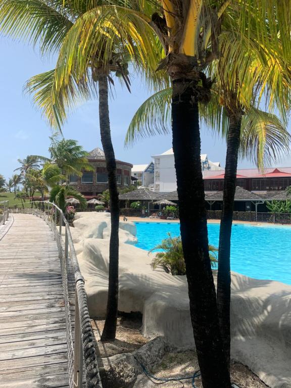 a boardwalk with palm trees and a swimming pool at Gwada dream in Saint-François