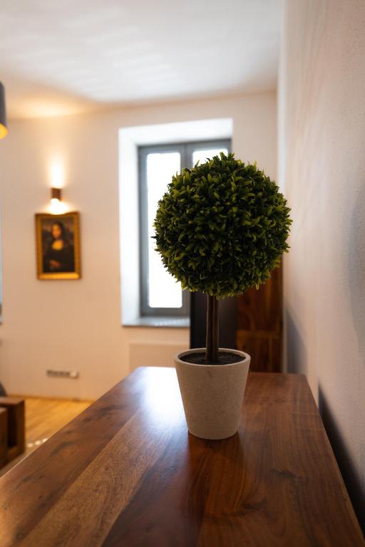 Fotografie z fotogalerie ubytování Black Field Apartment v destinaci Brno