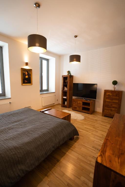 TV a/nebo společenská místnost v ubytování Black Field Apartment