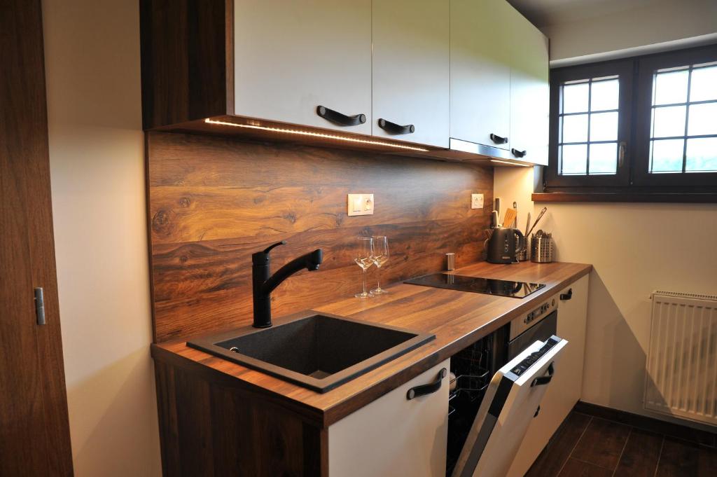 Kuchyň nebo kuchyňský kout v ubytování Apartmány U Fibichů