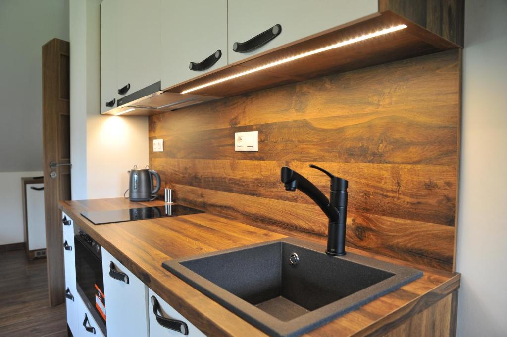 Kuchyň nebo kuchyňský kout v ubytování Apartmány U Fibichů