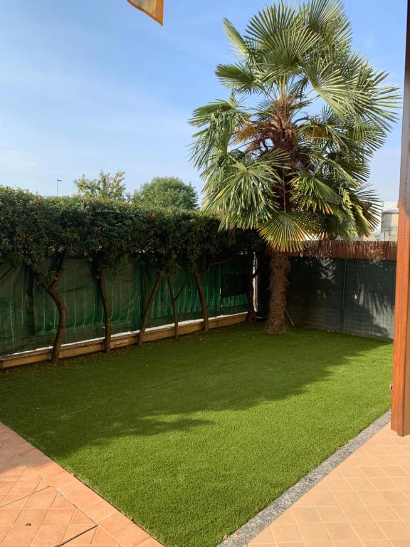a green yard with a palm tree and a fence at Casa Pesca in Cinisello Balsamo