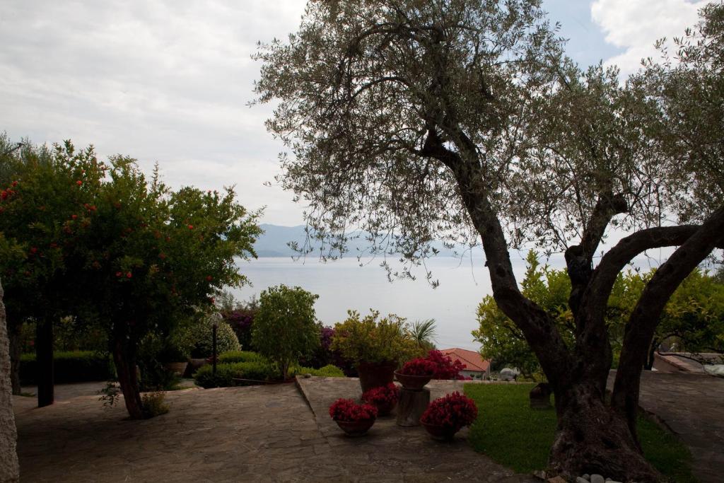 Derechos de imagen reservados por Booking.com