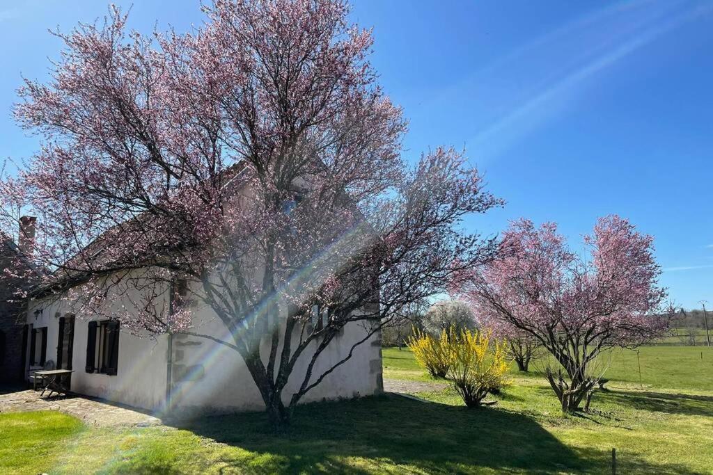 Taman di luar Gîte de la Fontaine salée