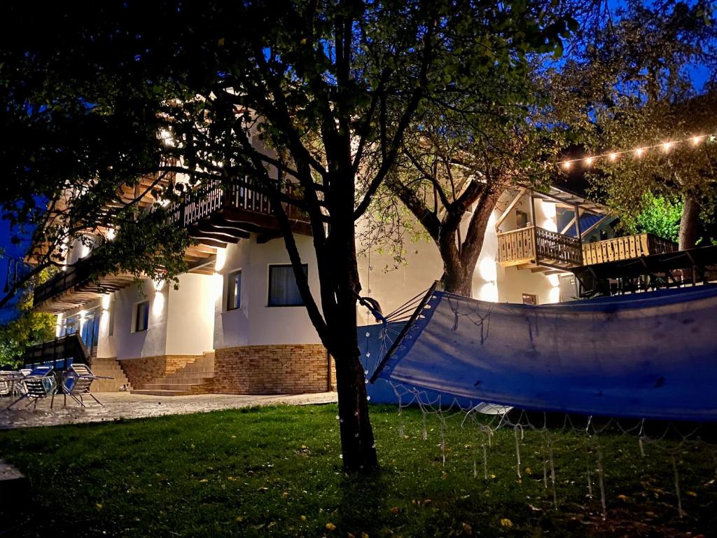a slide in the yard of a house at night at PANORAMIC Sus In Deal in Vişeu de Jos
