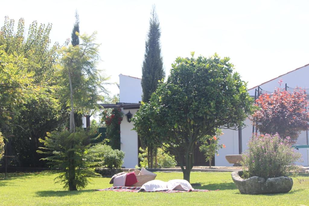 - un pique-nique dans le parc en face d'un bâtiment dans l'établissement Casa dos meus avós -Villas - Gaia & Porto, à Vila Nova de Gaia