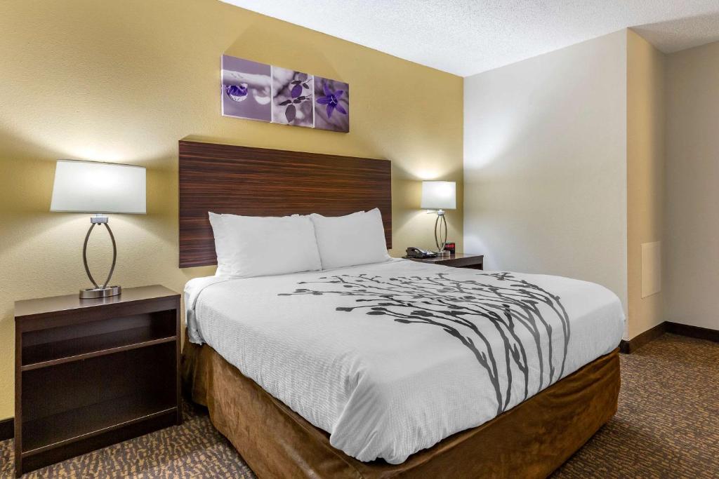 Sleep Inn Henderson I-85 - Salle Queen - Accessible / Non-fumeur