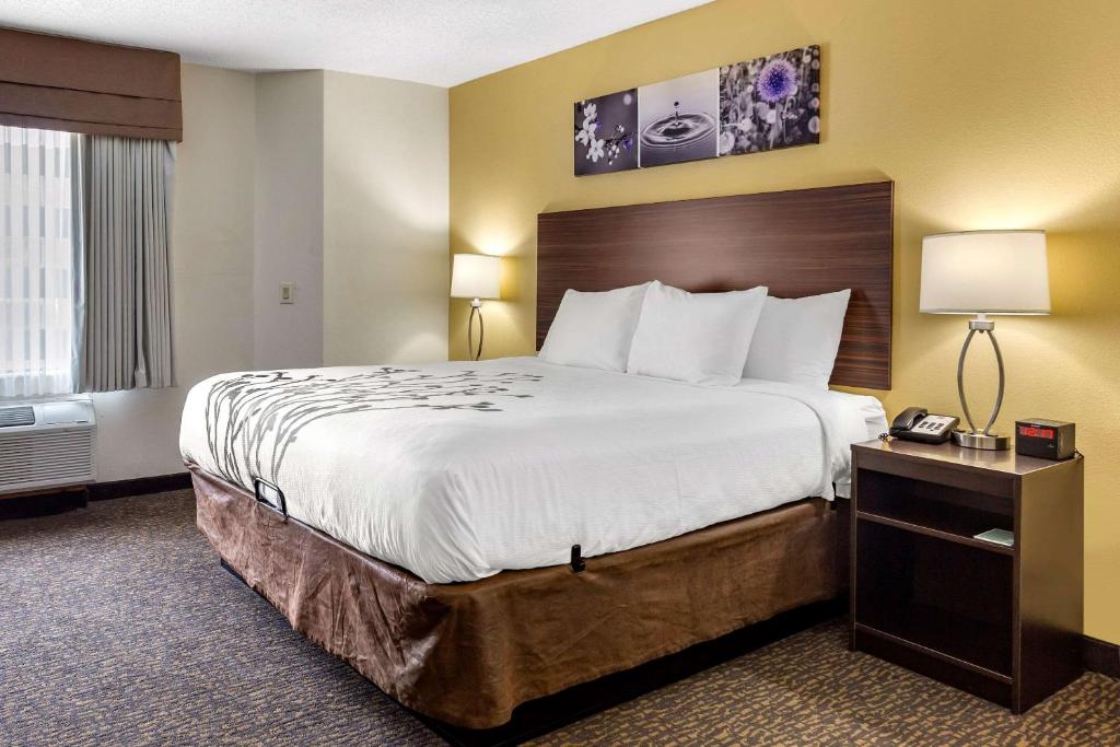 Sleep Inn Henderson I-85 - Room King - Non-fumeur