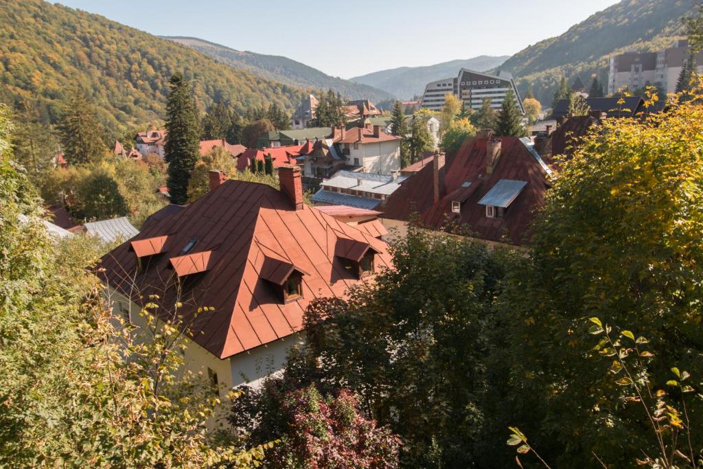 Foto da galeria de Rustic Regal em Sinaia