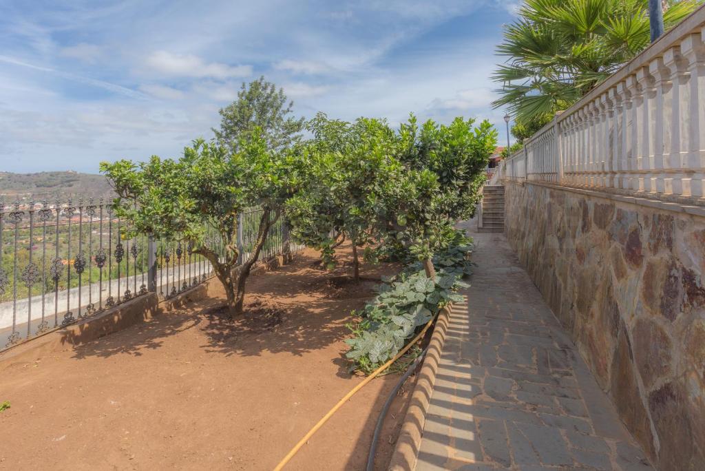 A garden outside Fantastic Rural House with Pool and terrace