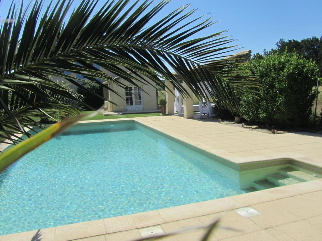 een zwembad met een palmboom naast een huis bij Maison provençal avec PISCINE in Cavaillon