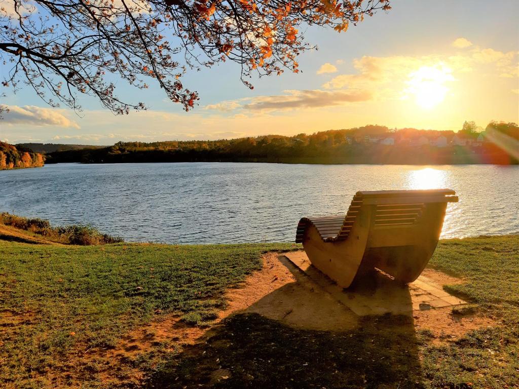 a park bench sitting next to a body of water at Twistesee Ferienwohnung in Bad Arolsen