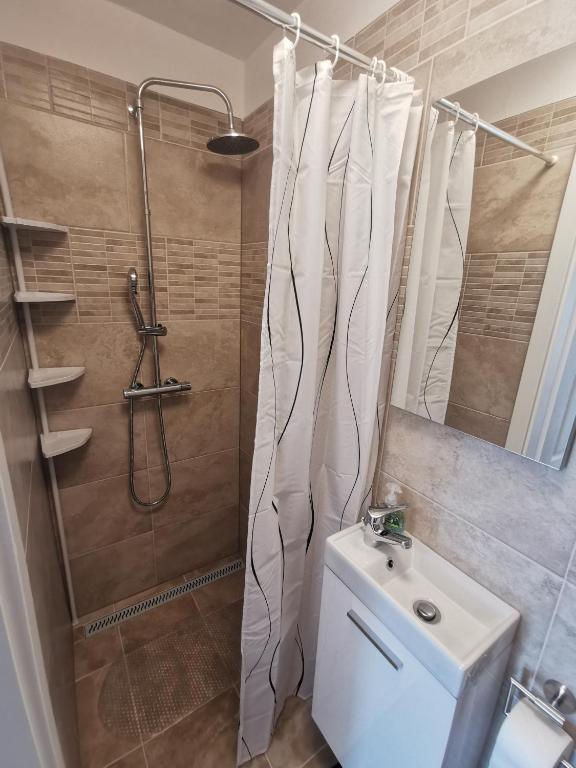 Kúpeľňa v ubytovaní Apartment Budin 2, Rijeka center