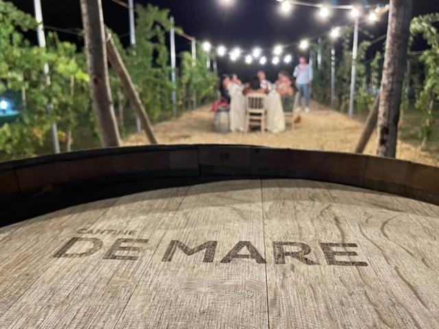 Hosté ubytování Cantine De Mare - Wine and Resort