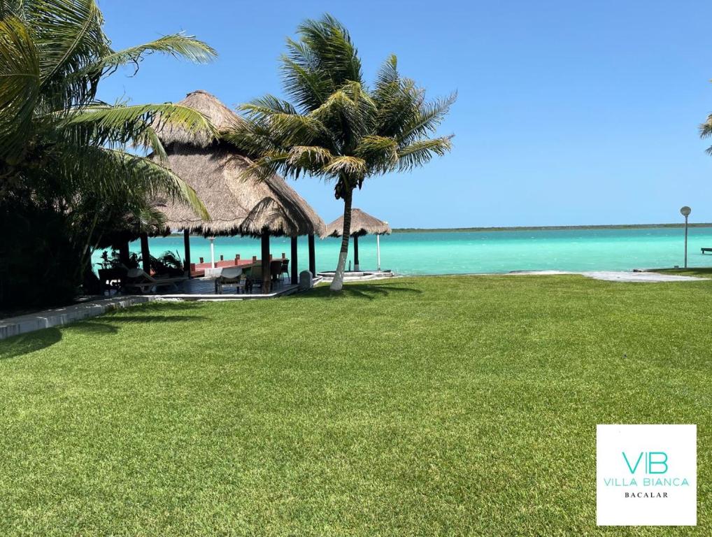 um resort com palmeiras e uma praia com o oceano em Villa Bianca Bacalar em Bacalar