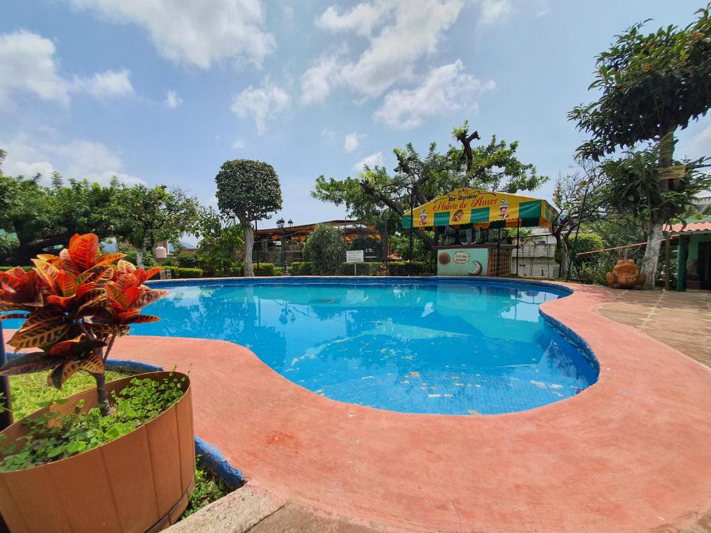 une grande piscine avec une plante en pot à côté de celle-ci dans l'établissement Posada El paraíso, à Tepoztlán