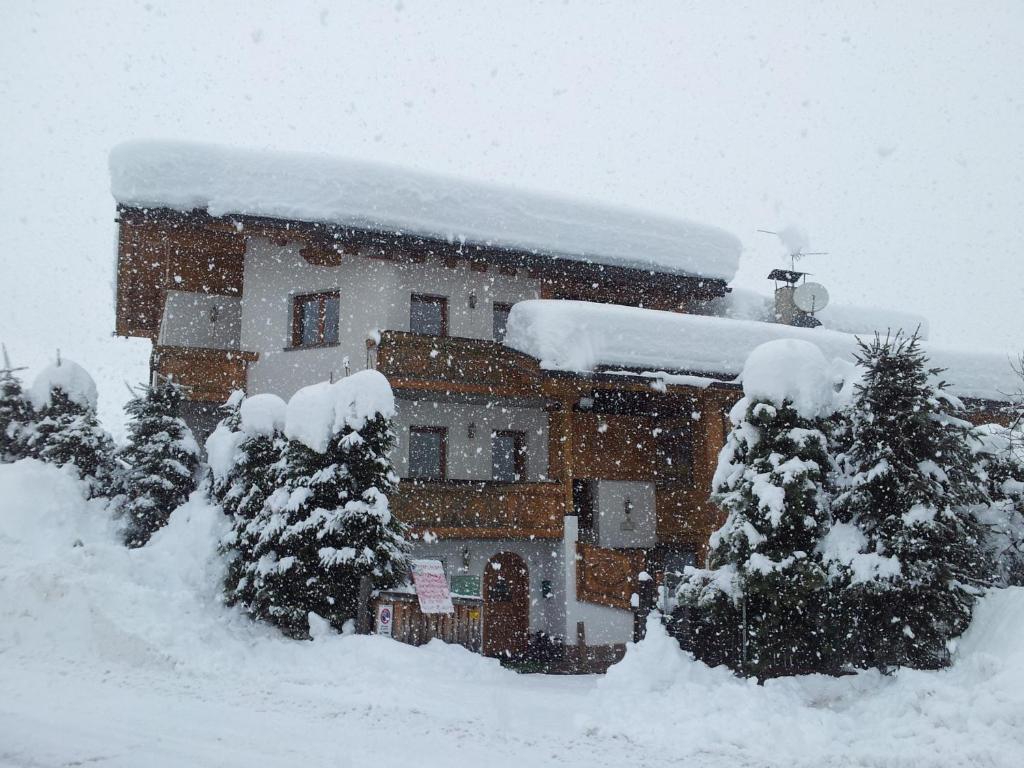 a building covered in snow with trees in front of it at Chalet Belvedere in Arabba