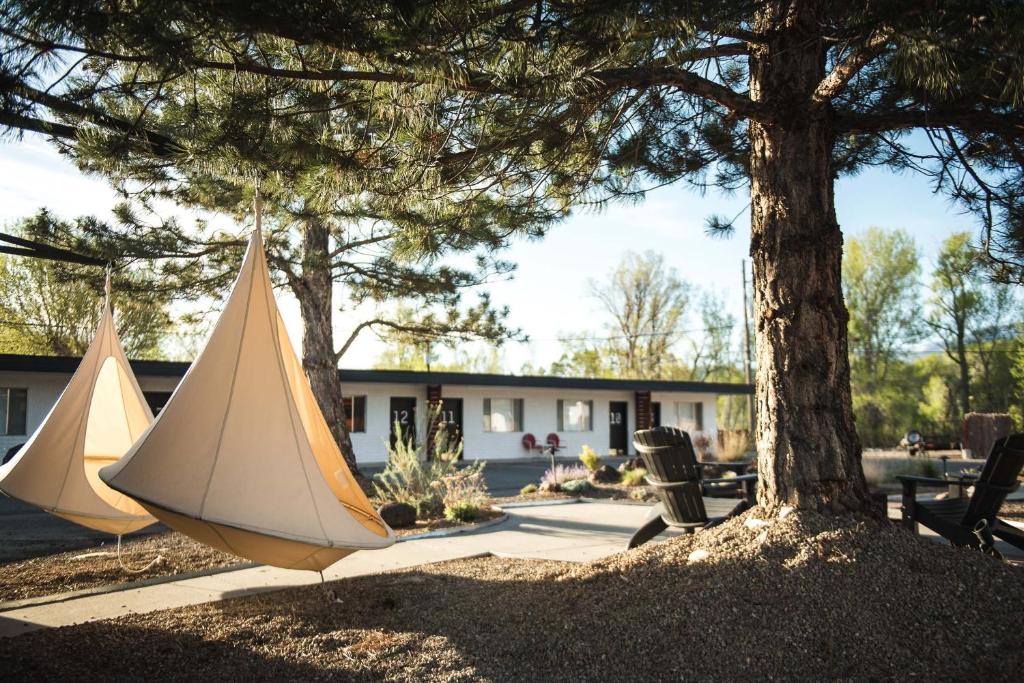 een boom met een tafel en stoelen naast een boom bij Amigo Motor Lodge in Salida