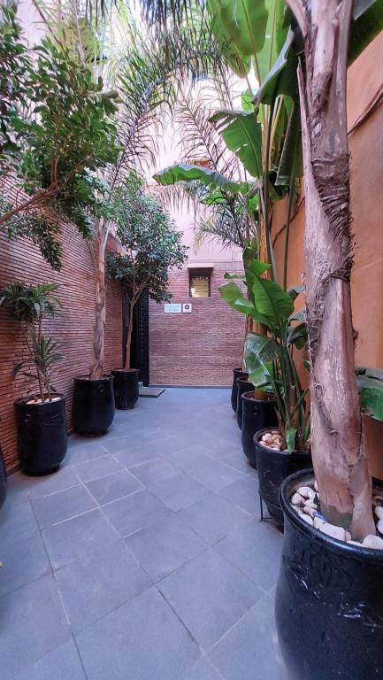 Zahrada ubytování Riad Dar Augusta