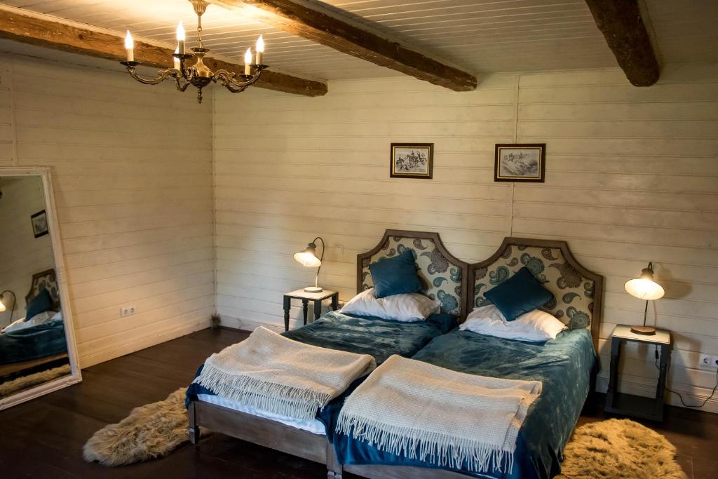 1 Schlafzimmer mit 2 Betten und blauen Kissen in der Unterkunft "Дальний кордон" in Moshchanytsya