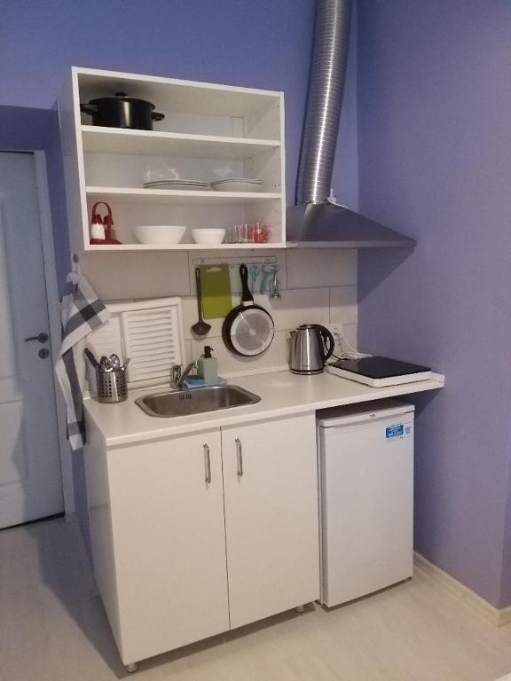 Kuchyňa alebo kuchynka v ubytovaní Melisa Apartment