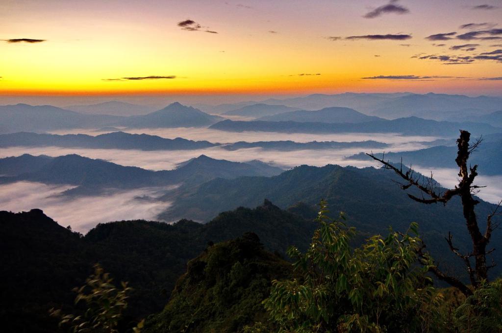 Luckswan Boutique Chiang Rai - SHA Extra Plus - Resim 41