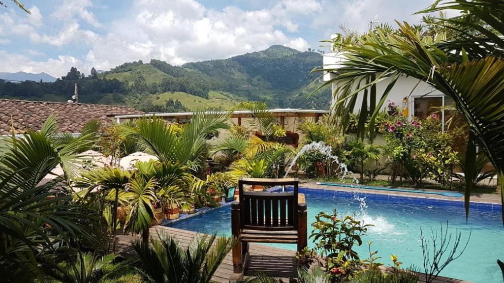 um resort com uma piscina com uma cadeira e árvores em Hostal Hilltop Salento em Salento