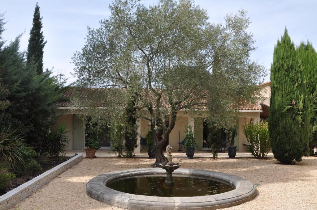 a fountain with a tree in the middle of a courtyard at Chambres d'hôtes sous l'olivier in Montpellier