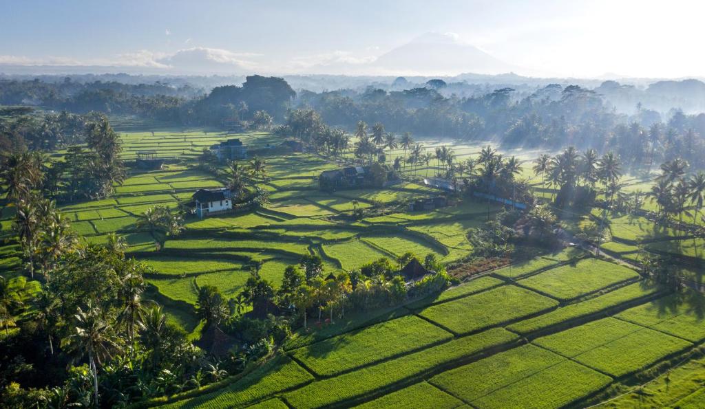 
a scenic view of a lush green hillside at Madani Antique Villas in Ubud

